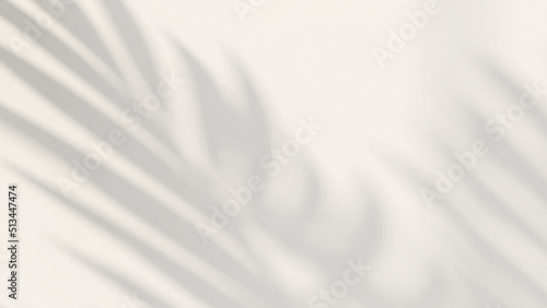 3D render nature concept, beautiful foliage tropical palm leaves shadow on empty white wall. Background, Backdrop, Natural, Summer, Beach, Sunlight, Eco, Tropicana, Space, Outdoor, Breeze, Pattern.
