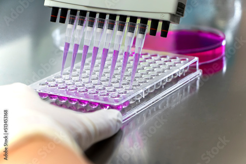 Researcher using micropipette dropping solution to microplate, for biologic tests. 96 well plate with samples for biological analysis. Scientist hand holding microplate for biomedical research. Clos