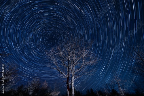 Wonderful star trail blue night sky with leafless trees in front, a time-lapse shot
