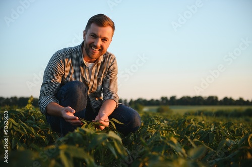 Agronomist inspecting soya bean crops growing in the farm field. Agriculture production concept. young agronomist examines soybean crop on field in summer. Farmer on soybean field.