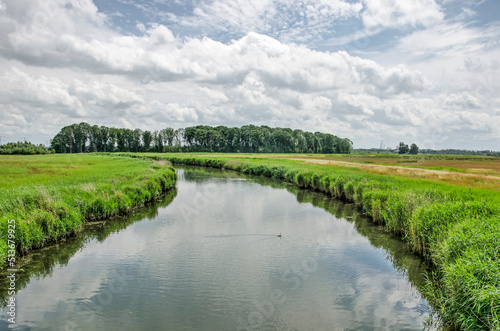 Curving creek in a green polder landscape in the Noordwaard region in Biesbosch national park