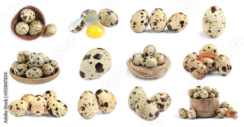 Set with quail eggs on white background. Banner design