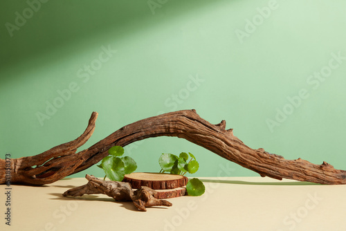 Front view of centella asiatica ( gotu kola ) decorated with cosmetic jar and branch tree in brown background 