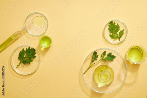 Top view of mugwort ( artemesia vulgaris ) decorated in petri dish glassware and beige background
