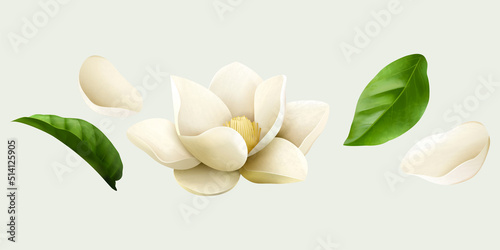 White jasmine flower drawings