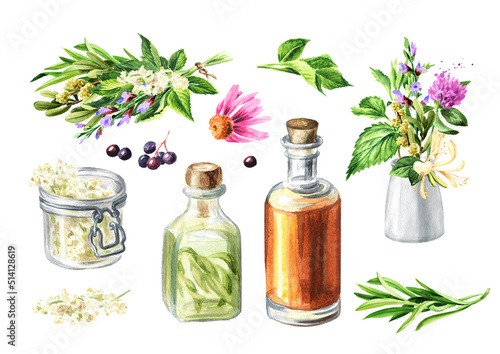 Medicinal plants for Herbal homemade organic tincture set. Alternative medicine , herbal collection. Hand drawn watercolor illustration, isolated on white background
