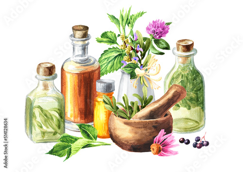Medicinal plants for Herbal homemade organic tincture. Alternative medicine , herbal collection. Hand drawn watercolor illustration, isolated on white background