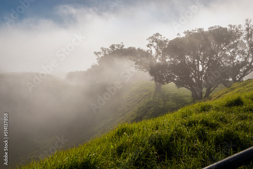 Thick fog drifting over volcanic crater at Mt Eden summit. Sunrays coming through the trees, Mt Eden, Auckland
