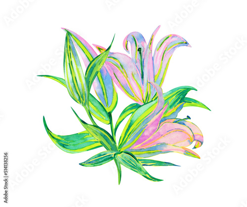 Bouquet of lily flowers, watercolor drawing isolated on white
