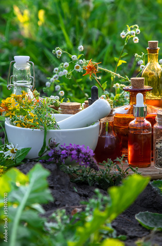 Medicinal herbs and tinctures alternative medicine. Selective focus.