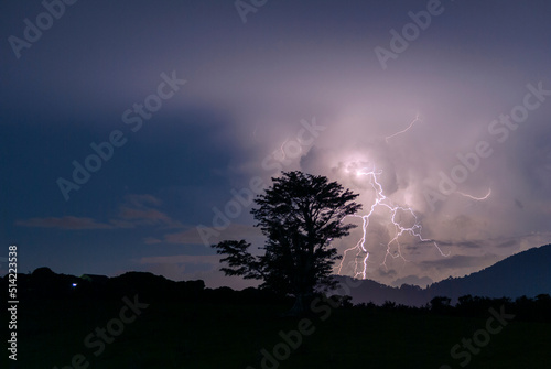 Silhouette of tree at night, thunderstorm in rural Guatemala, winter night.