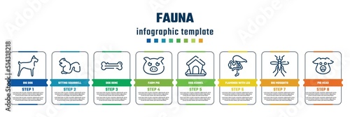 fauna concept infographic design template. included big dog, sitting squirrell, dog bone, farm pig, dog kennel, flamingo with leg up, big mosquito, pig head icons and 8 steps or options.