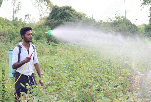 A young farmer spraying pesticides on his cotton crops.