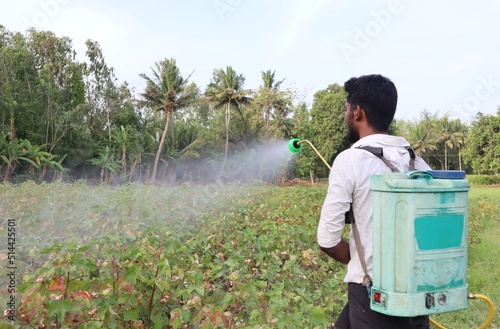 A young farmer spraying pesticides on his cotton crops.