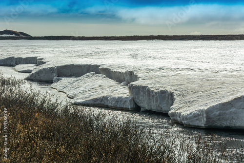 In spring, the tundra is freed from snow cover and ice. Climatic changes in the Arctic zone. Melting of snow and ice, streams and rivers. Vegetation of the Northern Tundra