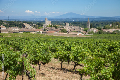 Au pied des vignes le village d'Aiguèze dans le Gard avec le Mont Ventoux dans le fond