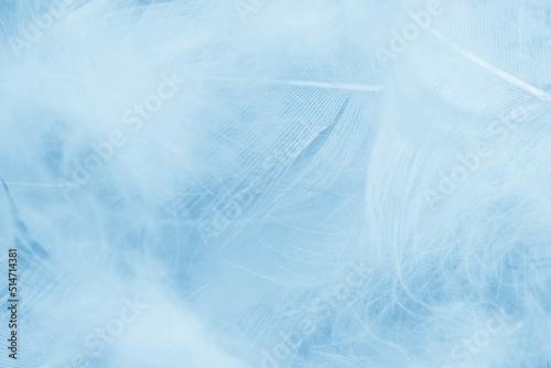 Beautiful white color trends feather pattern texture pastel blue turquoise background