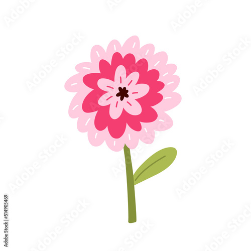 Cute pink zinnia with leaves isolated on white background. Vector illustration in hand-drawn flat style. Perfect for cards, logo, decorations, spring and summer designs. Botanical clipart.