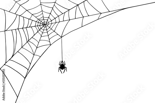 Linear sketch of a corner web with a spider.Vector graphics.