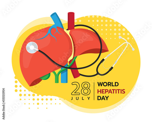 world hepatitis day - red liver with stethoscope roll around on yellow background vector design