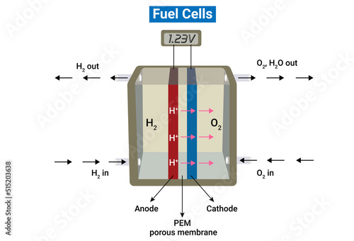 Hydrogen oxygen fuel cell or Scheme of a fuel cell