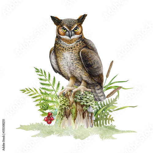 Great horned owl on mossy stamp. Watercolor illustration. Bubo virginianus North America native avian. Hand drawn realistic eagle owl in nature forest scene with fern, grass, berries