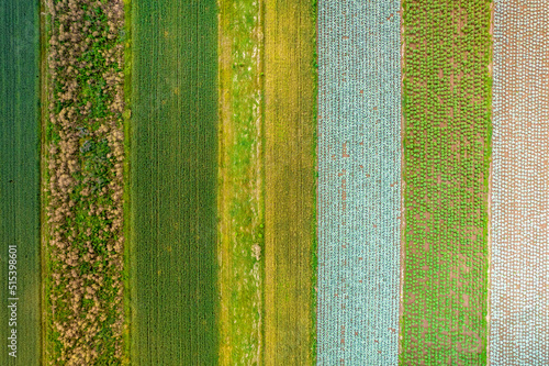 Kolorowe pola uprawne widziane z góry, rolniczy krajobraz polskiej wsi.
