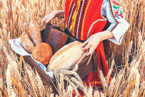 Beautiful girl woman in traditional Bulgarian folklore dress holding wicker basket with homemade breads in wheat field