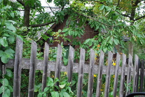 a rural, old, wooden house surrounded by thickets and flowers