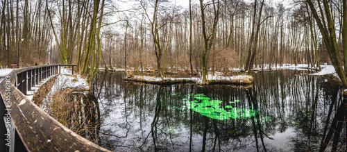 Niebieskie Źródła - Tomaszów Mazowiecki, zima