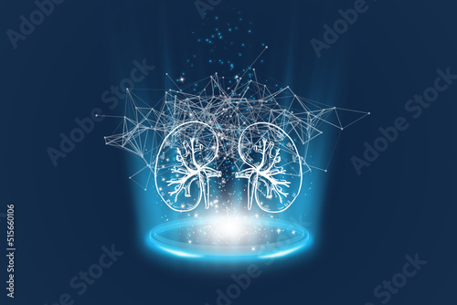 Kidney hologram, verifies the test results on the virtual interface, and analyzes the data. Kidney disease, kidney stones, cutting-edge technologies, and future medicine