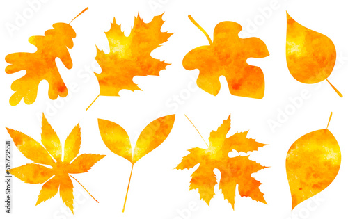 autumn leaves watercolor silhouette, isolated, vector