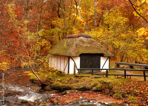 A cottage in the countryside in autumn landscape beside a river in Europe. Peaceful and quiet nature scene of rustic barn or boathouse near calm water and changing season of red and yellow leaves