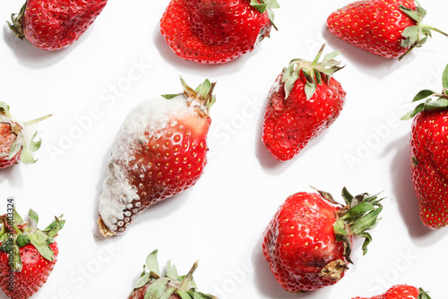 rotten strawberries on white background.global hunger problem. copy space. overconsumption, food waste concept. spoiled, dangerous food.