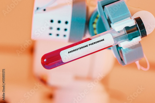 Androstanes Pheromone In test tube in biochemical lab