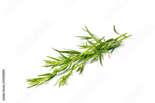 Tarragon or estragon isolated on a white background. Artemisia dracunculus. Top view. Green Herb leaves. Bunch of Tarragon.