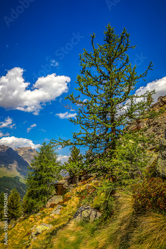 Im Nationalpark Gran Paradiso im Aostatal in Italien