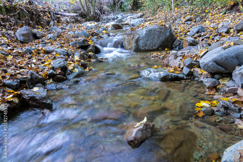 Murray Creek gently flowing over rocky riverbed