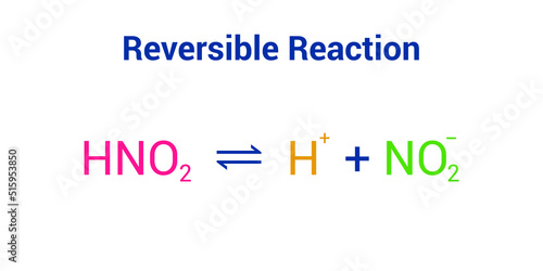 reversible reaction example in chemistry