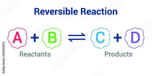 reversible reaction formula in chemistry