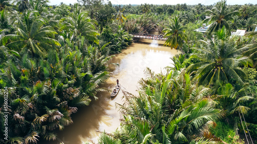 local Vietnamese paddling on sampan boat through Mekong river canals surrounded by green palm trees and coconut trees, aerial