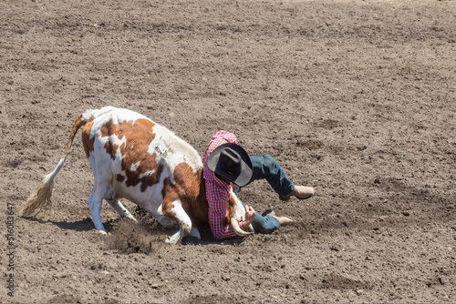 A Rodeo cowboy is wrestling a steer to the ground in a steer wrestling event at a rodeo. The steer is white and brown. The cowboy is wearing a red shirt, black hat and blue jeans, The arena is dirt.