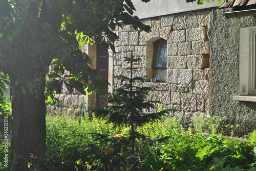 Zdjęcie przyrody przedstawiające zielony ogród przed domem