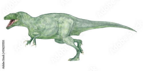 マイプ マクロソラックス 南米アルゼンチンの白亜紀後期の地層から部分骨格が発見された。推定全長は9から10メートル体幅は2メートルと広く、南米での当時の食物連鎖の頂点にいた肉食恐竜であると推定されている。明確ではないが、メガラプトル類メガラプトル科に属するとされている。この科の他の肉食性の恐竜と同様にやや細面であるが薄く鋭い歯を持っていた。『マイプ』はパタゴニア地方の悪霊の名である。