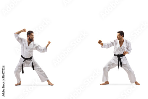 Profile shot of two men training karate combat