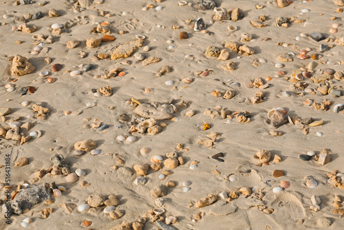 Sand shells and pebbles as a background. Flat lay with space for text. Natural landscape coral view of a beautiful tropical beach on a sunny day. Beach sea area. Texture of a beautiful beach banner