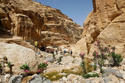 Dana Biosphere Reserve in Jordan. Amazing scenery in Wadi Ghuweir Canyon with river and blooming oleander bushes. Silhouette of hiking people on trail. 