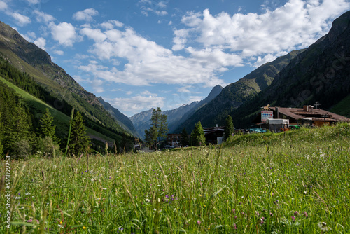 Bergwiese, Tieflehn, Pitztal, Tirol, Österreich