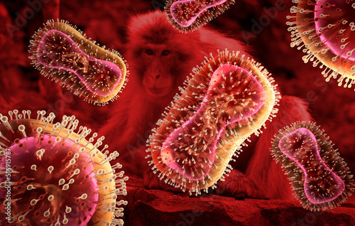 Medical illustration of Monkeypox virus - 3D illustration 