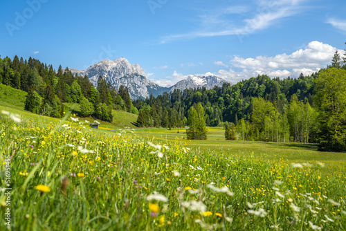 Idyllic alpine landscape in Austria, Heutal, Unken, Pinzgau, Salzburger Land, Austria, Europe